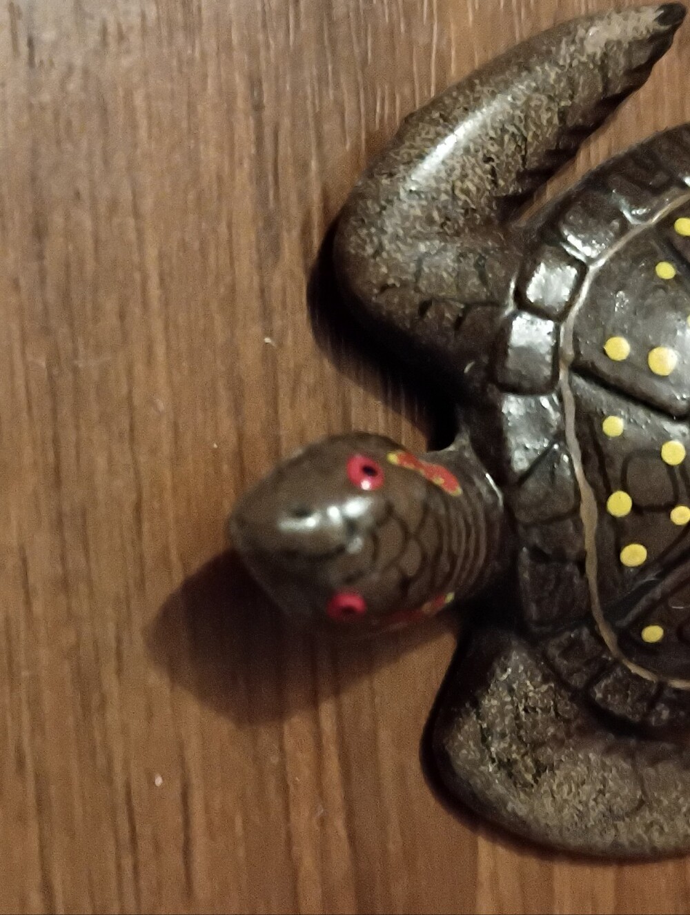 Spotted Turtle Species Magnetic